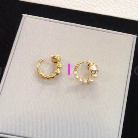 DIOR Earrings 271